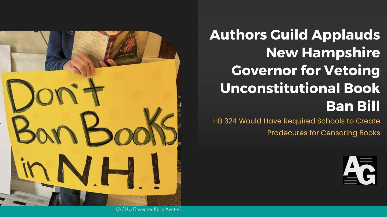 Person holding homemade sign reading Don't Ban Books in NH!