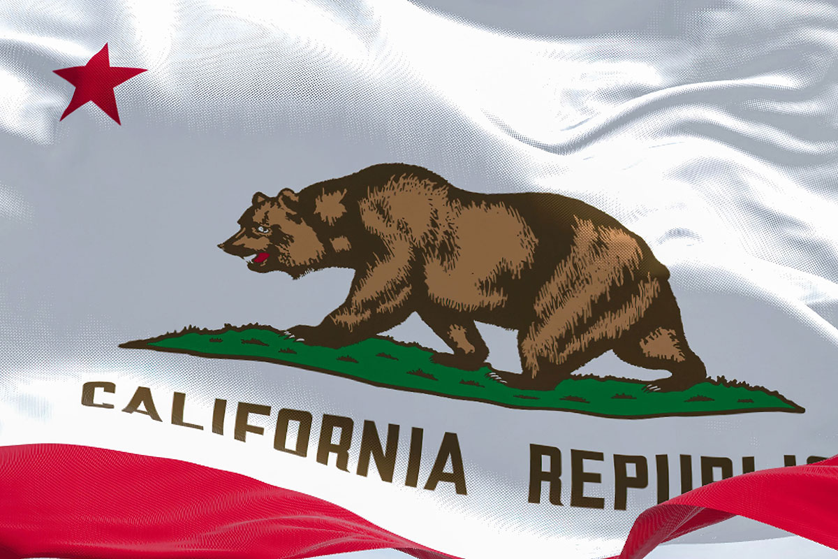 Close up of the California state flag depicting a grizzly bear on a white field above the words California Republic
